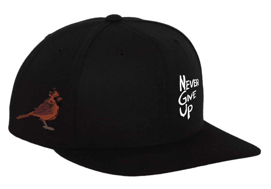 NEW 2024 (Pre-Sale) Cardinal "Never Give Up" Hat - Black (One size)